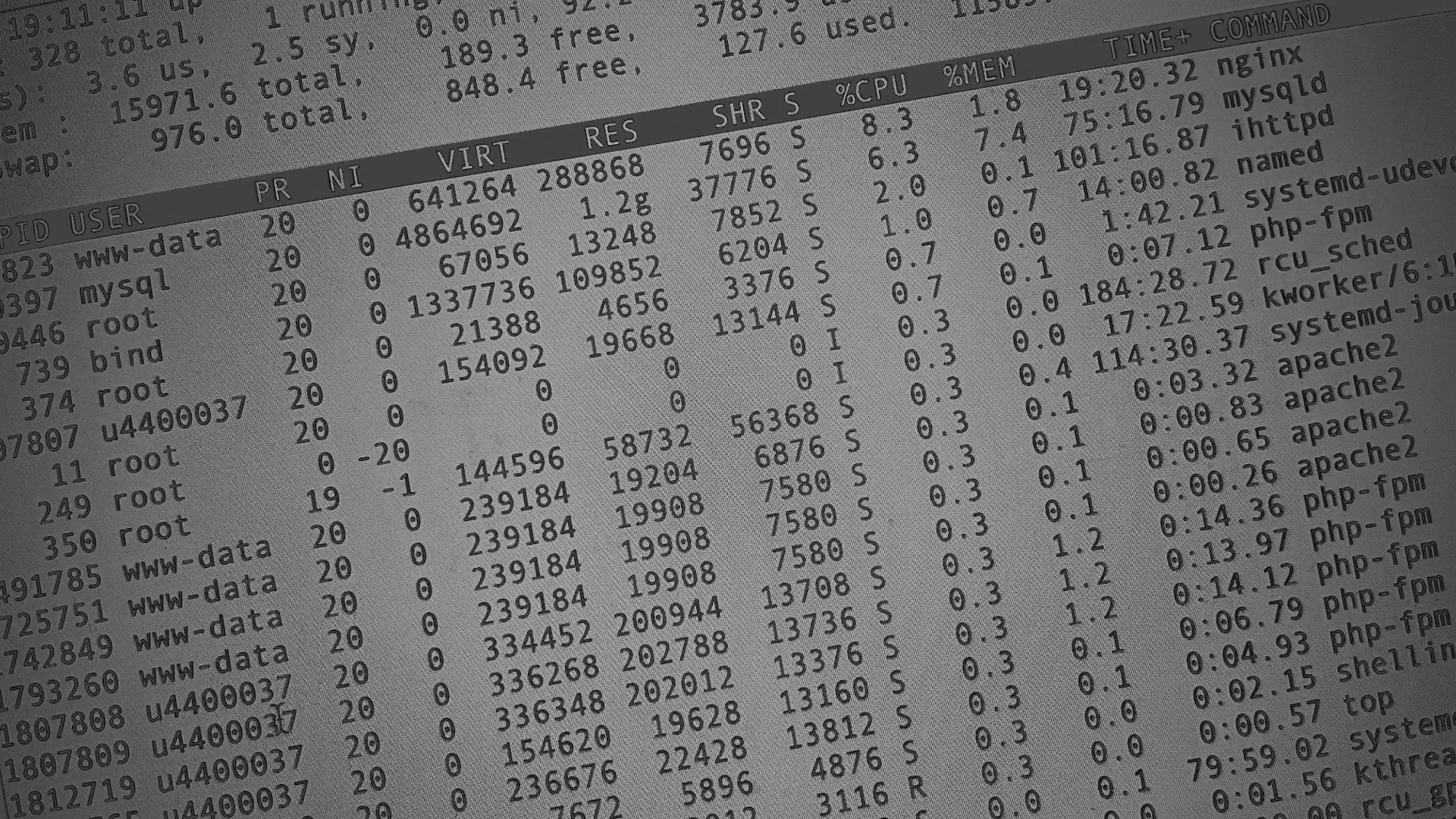 Настройка сервера в Грайвороне